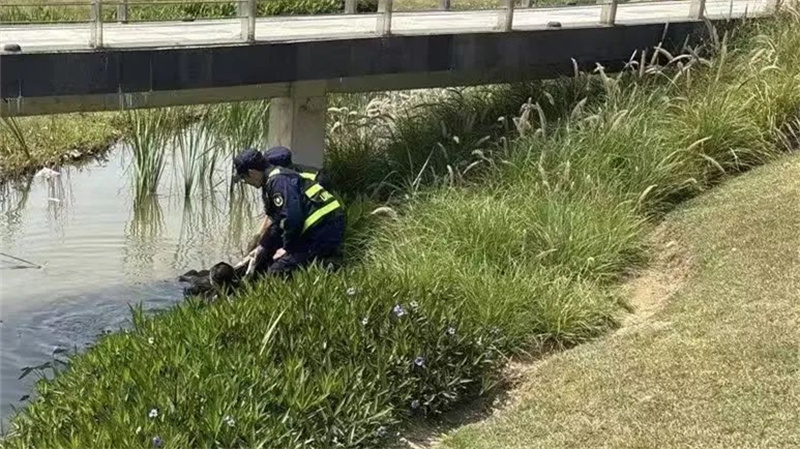 事发情侣路！一女子带着孩子轻生！幸亏他冲了上去