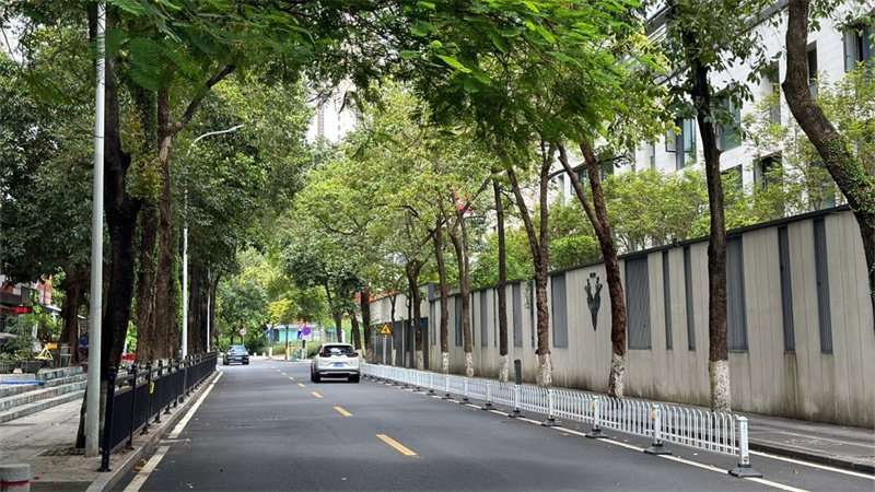 听民意，汇民声！香湾街道两条道路提质改造便利群众